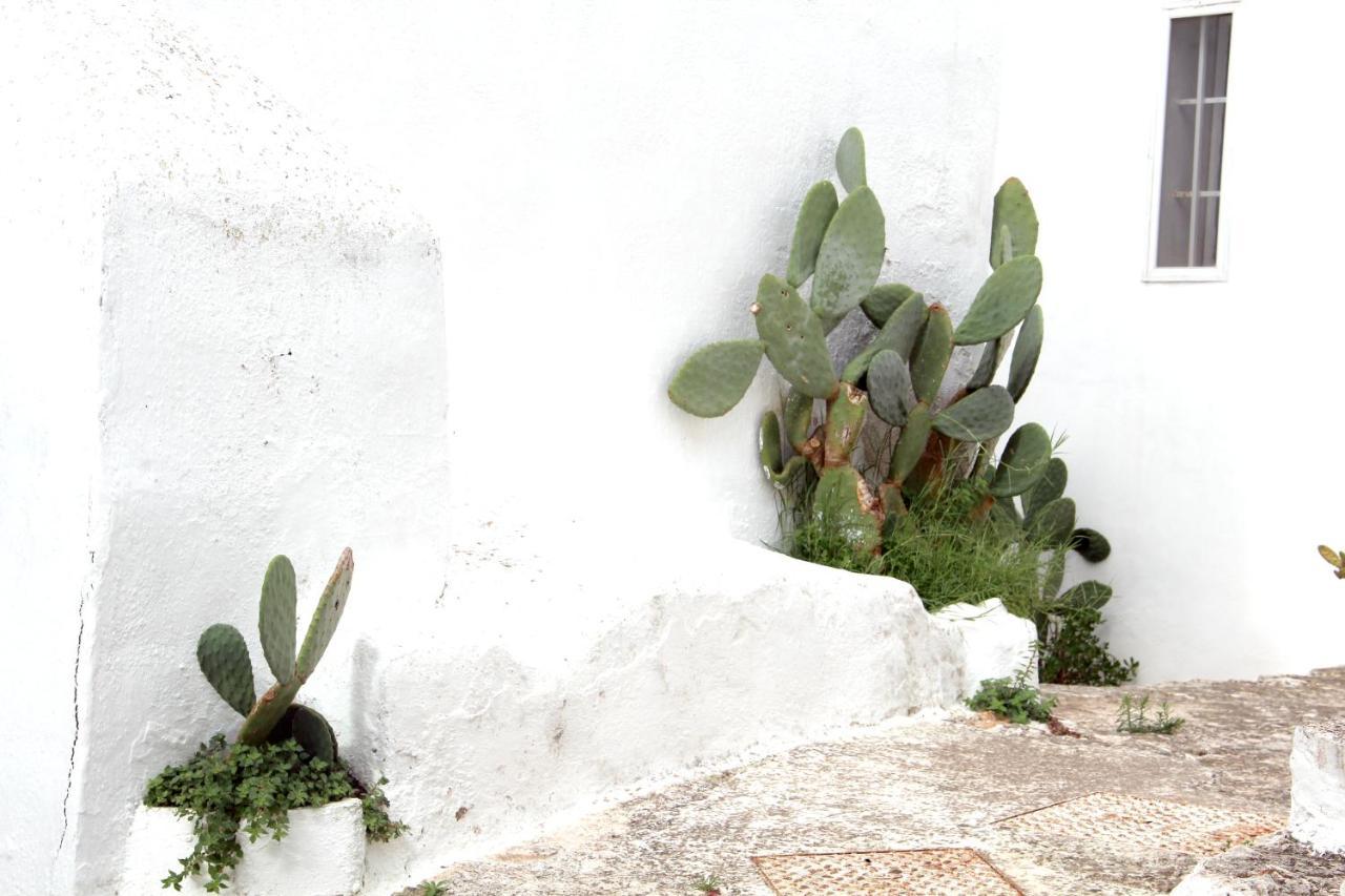 Monolocale Ilporticciolovacanze Villanova di Ostuni Exterior photo
